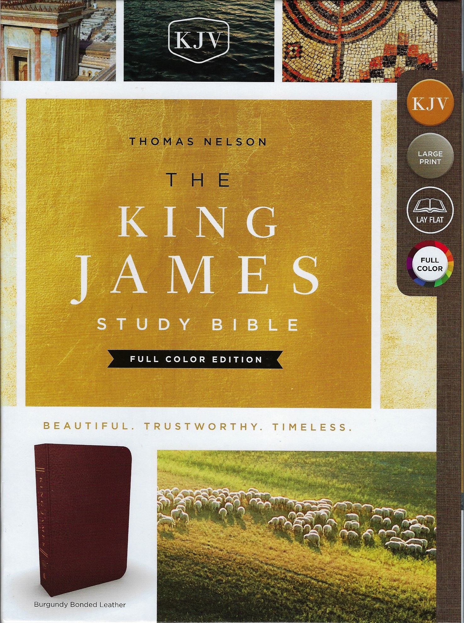 THE KJV STUDY BIBLE FULL COLOR Ed.